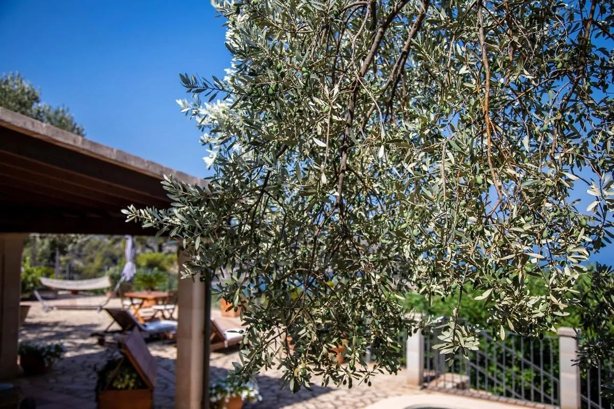 Finca Rural Es Pujol Soller Holiday home