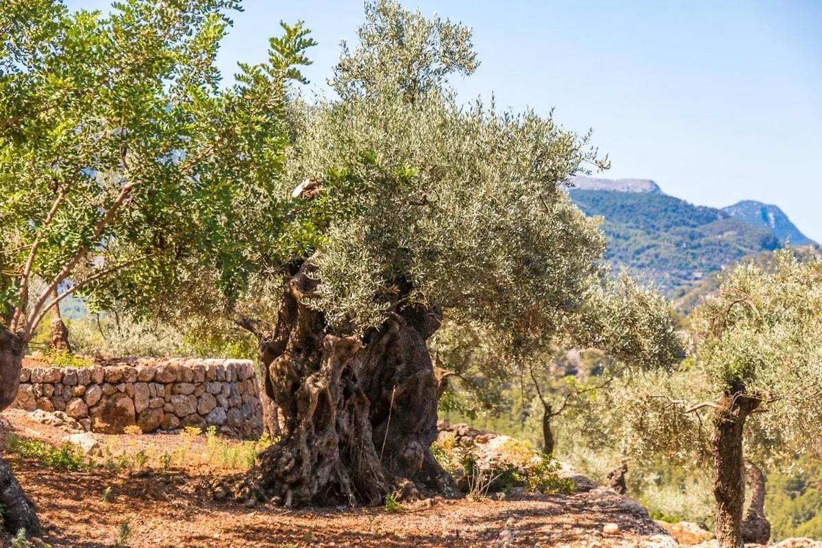 Finca Rural Es Pujol Soller Spain